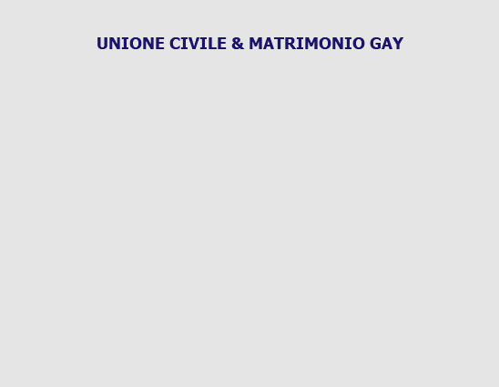  UNIONE CIVILE & MATRIMONIO GAY